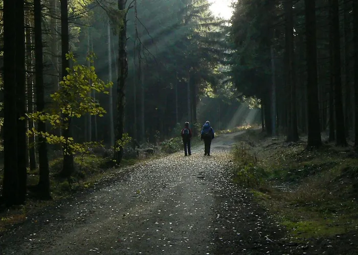 Zimmervermietung-heide-fiege דירה Hartmannsdorf bei Chemnitz